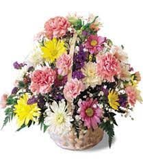 Flowers for all occasions, lugoff, south carolina. Flowers For All Occasions Raspberry Ct Lugoff Sc 29078