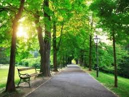 The Words Of The Week August 14th 2020 Merriam Webster