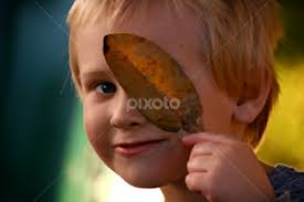 Stock Image Search Results