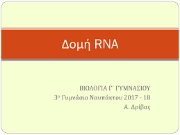 Οι εξετάσεις βιολογίας γ' γυμνασίου 2019 όλων των γυμνασίων της κύπρου. Biologia G Gymnasioy 3o Gymnasio Naypaktoy A Dribas Ppt Katebasma