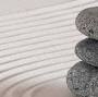 Profile Picture of Cindy Rosenberg, Licensed Acupuncturist, Saratoga Springs ... (@cindyrosenbergtcm.com) on Google