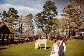 Centaur Arabian Farms Country Rustic Wedding Venue Near Tyler Tx Rustic Country Wedding Rustic Wedding Venues Horse Farms
