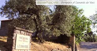 Birthplace Of Leonardo Da Vinci Visit The Home Of The Tuscan Genius In Anchiano Near Vinci Toscananelcuore Florence Leonardo Da Vinci Tuscany Vinci