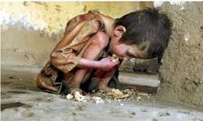 Image result for images of poor boys searching for meals in dust bin