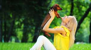 Maybe you would like to learn more about one of these? 5 Simple Rules To Follow Before You Say Hello To A Dog