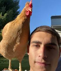 N.J. college students give their chickens away after ruffling the feathers  of local officials