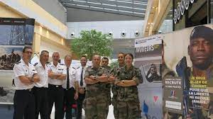 Les maîtres chiens sont des agents dont la profession utilise les qualités d'un chien. Armee De Terre De L Air Et Marine Meme Combat