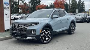 Image result for Blue Stone 2024 Santa Cruz