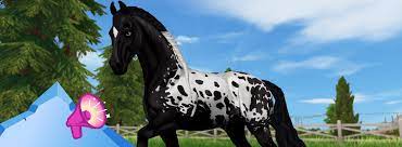 Check spelling or type a new query. Mehr Friesen Spass Star Stable