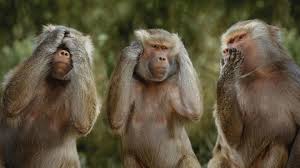 See 2,887 unbiased reviews of three monkeys restaurant, rated 5 of 5 on tripadvisor and ranked #1 of 71 restaurants in wichit. Legend Of The Three Wise Monkeys