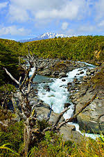 Cultural Landscape Wikipedia Practice tests & prep for the new 2020 exam (college test preparation).