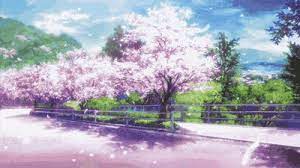 Pink leafed tree, anime, sakura (tree), road, built structure. Top 30 Cherry Blossom Wallpaper Gifs Find The Best Gif On Gfycat