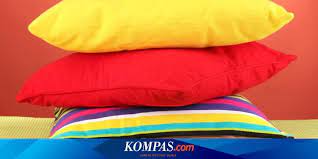 Check spelling or type a new query. Jangan Salah Kenali Dulu Isi Bantalnya Baru Beli Halaman All Kompas Com
