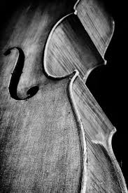 Artistic Black And White Art Photography 8 X 12 Black And White Fine Art Photography Print Cello You Have No Idea How Beautiful T Photography Prints Art White Photography Fine Art Photography Print