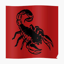Names that are spelled with more letters than 8. Scorpion Posters Redbubble