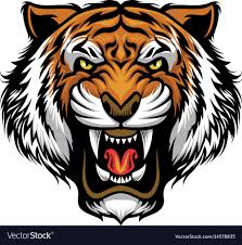 Vector Of Angry Tiger Face Download A Free Preview Or High Quality Adobe Illustrator Ai Eps Pdf And High R Tiger Tattoo Design Tiger Face Tiger Illustration