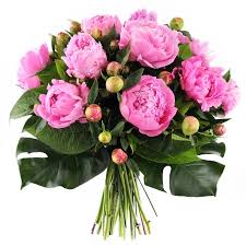 Send your happy birthday message with flowers today! Lush Peonies Beautiful Flowers Delivered Super Fast