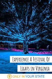 Walk Through One Million Holiday Lights At The Lewis Ginter Gardenfest Of Lights In Virginia With Images Holiday Lights Display Holiday Lights Family Friendly Event