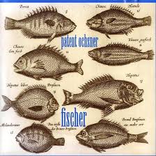 W.nuss vo bmpliz patent ochsner, berner symphonieorchester. Patent Ochsner Vater Lyrics Genius Lyrics