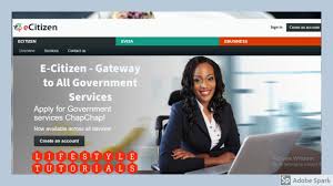 E Citizen Gateway To All Government Services Youtube