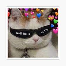 Hello Cutie Sticker By Topsstore Cute Love Memes Cute Cat Memes Wholesome Memes