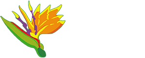 Maybe you would like to learn more about one of these? Albuquerque Flower Shop Ordering Flowers Online Flower Delivery Online Albuquerque Florist