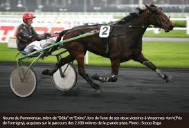 Le prix ténor de baune (prix d'amérique races zeturf qualif #4 : Prix D Amerique 2020 Gr I Attele Vincennes Face Time Bourbon Forum