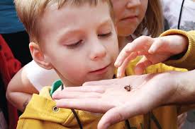 First-grade field trip