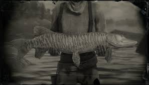 Sample shown is a mepp's magnum musky killer available at amazon. Legendary Muskie Red Dead Wiki Fandom