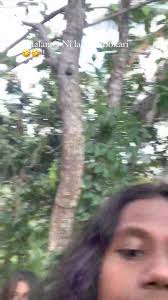 You will Bath in the Water Fall You will Sokiti , Only in Narailagi,  Macuata !!