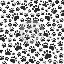 Pin Em Projetos Para Experimentar Последние твиты от pata de cachorro (@patadecachorro). pin em projetos para experimentar