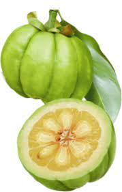 Garcinia cambogia extract products have to tell you what is inside it when you go through the label. Garcinia Cambogia Malaysia Where To Buy Garcinia Cambogia Malaysia