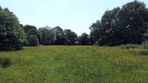 This response shows me we have nothing to lose by doing more of that, fields. Mirrlees Fields Friends Group Stockport Council