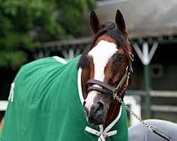 Browse art created by alan gregory. Nytb New York Thoroughbred Breeders Inc