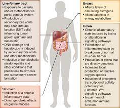 The Microbiome Cancer And Cancer Therapy Nature Medicine