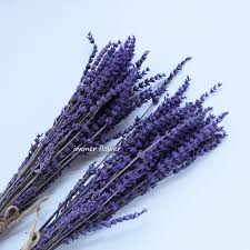 Keep your flowers fresher longer when you use clorox® bleach. Fleur De Lavande Sechee Naturelle Fleur Sechee Preservee Buy Lavender Dry Flower Dry Lavender Preserved Flower Product On Alibaba Com