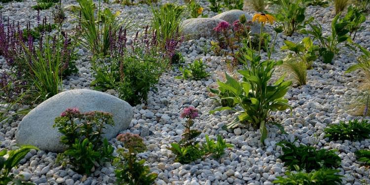 Rock garden