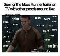 Maze Runner Memes Funny Quotes Maze Runner Maze Runner Funny Newt Maze Runner