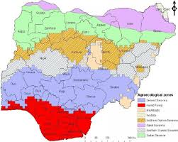 Draw The Map Of Nigeria Showing Vegetation Zone Draw The Map Of Nigeria Showing The Vegetation Zones Western Africa Africa Drawing a cartoon forest can be quite relaxing and easy to achieve if you know how to handle this topic. draw the map of nigeria showing