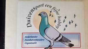 Peter Van Fulp Muhle Nein A D Rijn Brieftauben Coach