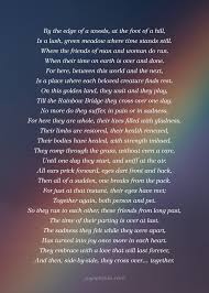 A loving poem of the journey a pet and their guradian takes to rainbow bridge after this life petloss grief support. The Rainbow Bridge Poem Grief Support Joy Session Network