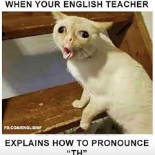 13 Fun Classroom Activities Using Technology English Teaching 101 Cute Cat Memes Cute Animal Memes Funny Animal Jokes