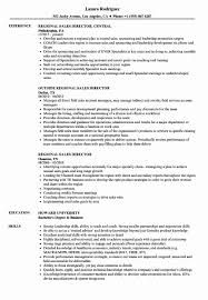 Sales Director Resume Examples Elegant Bancassurance Sales Resume State Bank Of India Life Insu Project Manager Resume Marketing Resume Customer Service Resume