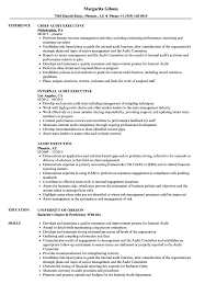 Start creating your cv in minutes by using our 21 customizable templates or view one of our handpicked internal auditor examples. Chief Internal Auditor Cv May 2021