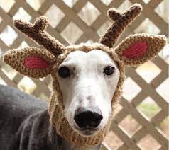 You Ll Love This Reindeer Snood For Dogs The Whoot In 2021 Crochet Reindeer Crochet Lion Reindeer Hat
