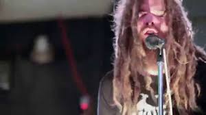Image result for profane existence band
