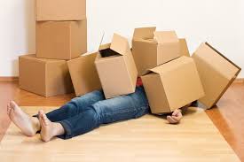 Search anything about wallpaper ideas in this website. How To Move An Elliptical Without Destroying My House Or Myself
