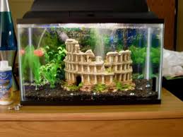 Aquarium décor benefits both the pet owners and the aquatic life living in the tank. Atlantis Theme Decorations Go Back Gallery For Atlantis Fish Tank Themes Fish Tank Themes Fish Tank Fish Tank Decorations