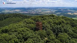 Plenty of wholesome pecs vacation packages are available to choose from, pick your today! Kostenloser Transport Von Fahrradern In Den Bussen Von Pecs Ins Mecsek Gebirge Wunderbaresungarn De