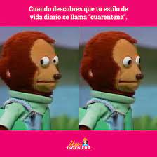 Memes para pasar la cuarentena. Pin En Memes De Mujer Ingeniera